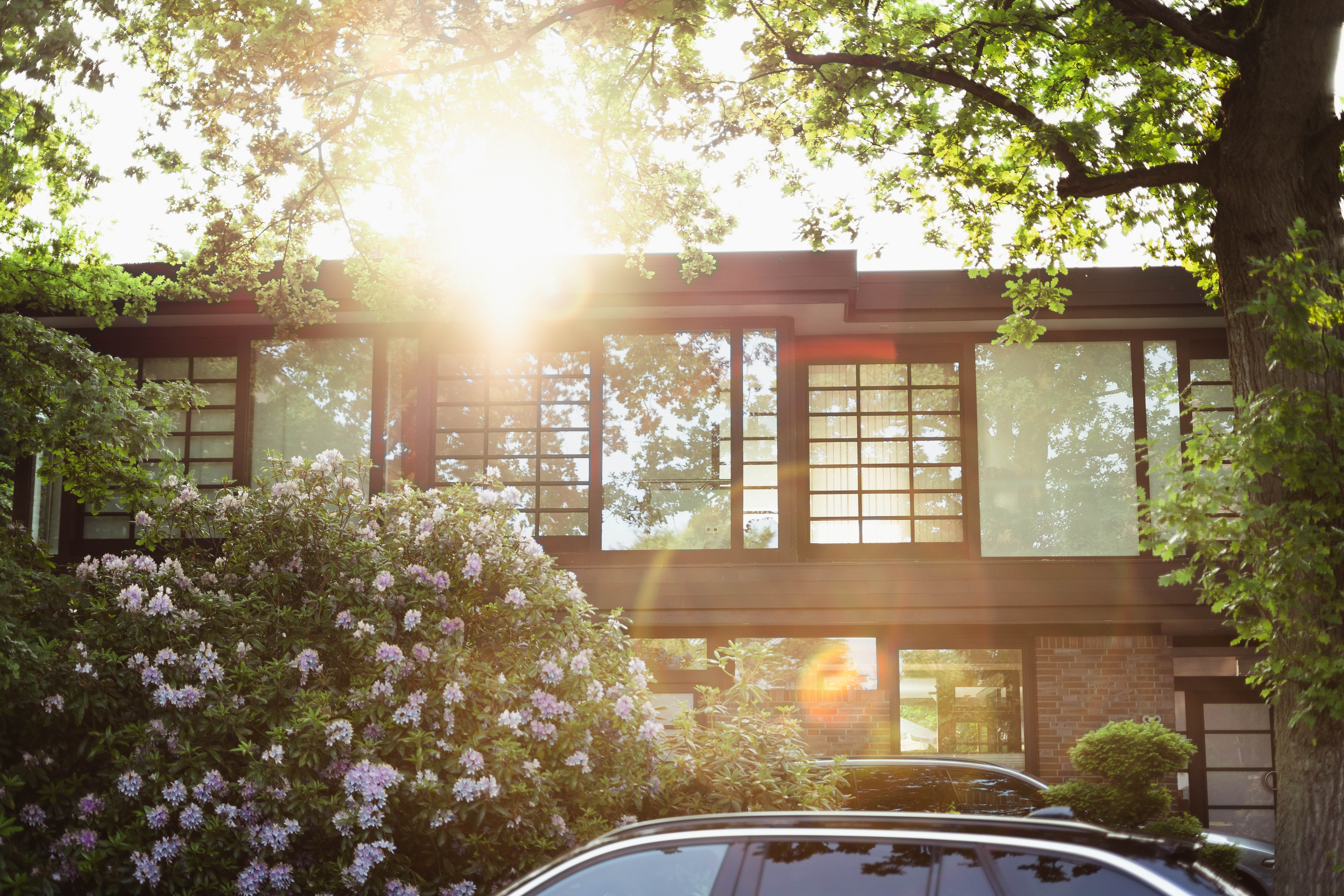 Exterior of luxurious modern home with sunlight through trees